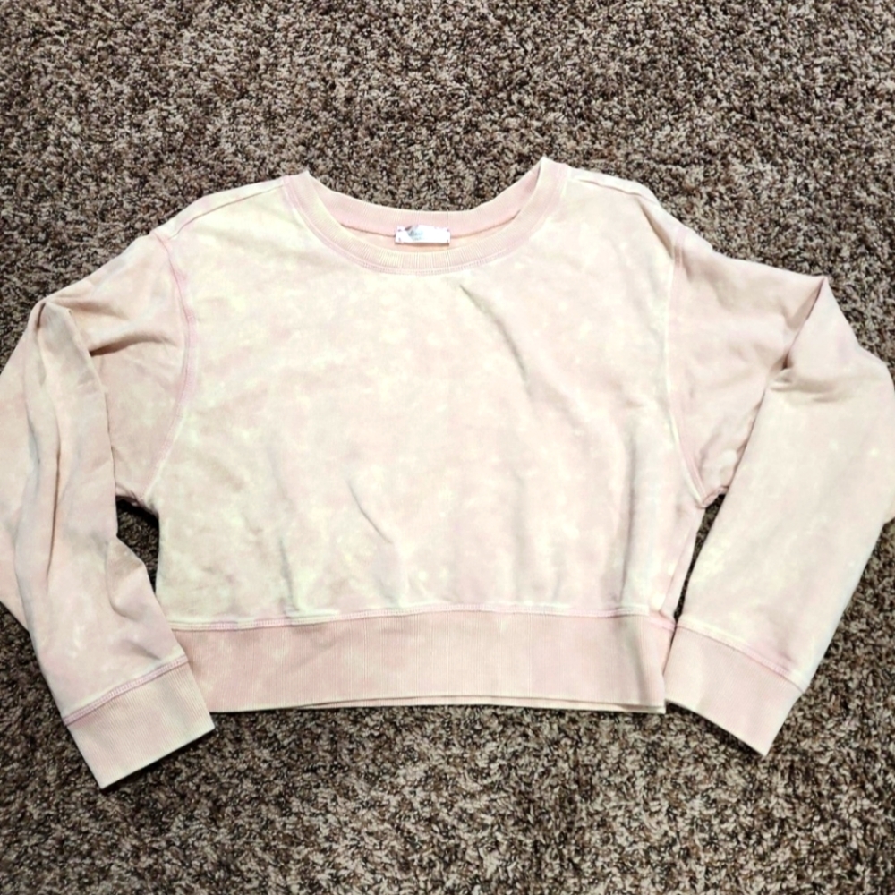 Altard state crop sweatshirt